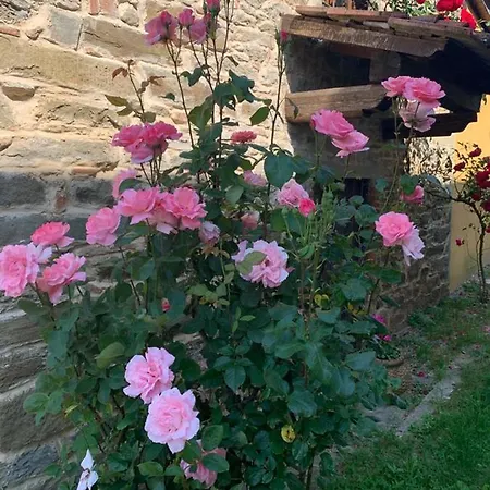 Le Mulina Vila Barberino di Mugello Exterior foto