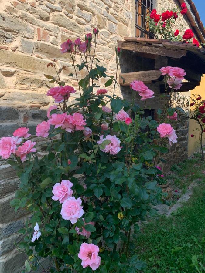 Casa de Férias Le Mulina Barberino di Mugello